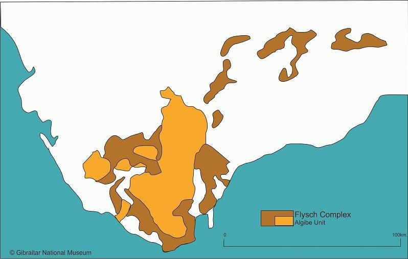 Regional map showing the distribution of the flysch geological formations.
